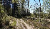 Trail Walking Spa - spa creppe bronrome spa  - Photo 3