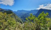 Randonnée Marche Saint-Louis - Tapage - Piton Cabris - La Fenêtre  - Photo 5