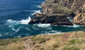 Tour Wandern Cléden-Cap-Sizun - Pointe du Van - Photo 7