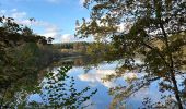 Trail Horseback riding Florenville - Les Epioux - Photo 13