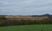 Tour Wandern Bassenge - 20211031 - HUWAO Eben 4.5 Km - Photo 2