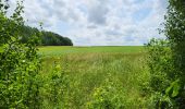 Tour Wandern Mettet - Pontaury 210623 - Photo 1