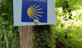 Trail Walking Bouilly - Juillet 10 2025 - Photo 2