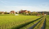 Tocht Te voet Mauensee - Schloss Mauensee - Seewagen - Photo 3