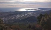 Tocht Trail Solliès-Pont - Le Coudon  - Photo 1