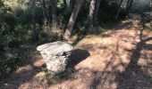 Randonnée Marche Conques-sur-Orbiel - Mur_aribaud_capitelles_réel - Photo 17