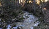 Trail Walking Saint-Pierre-de-Chartreuse - Boucle autour de saint Hugues - Photo 9