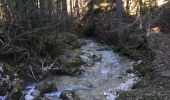 Tour Wandern Saint-Pierre-de-Chartreuse - Boucle autour de saint Hugues - Photo 9