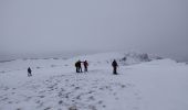 Tour Schneeschuhwandern Bouvante - fond'hurle - Photo 4