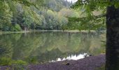 Trail Walking Plancher-les-Mines - PLANCHE DES BELLES FILLES - Photo 2