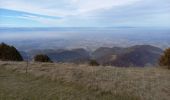 Tour Wandern Léoncel - Pierre Chauve-Pas de St Vincent- Pas de Touet - Photo 3