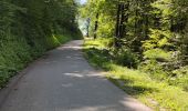 Percorso Marcia Dobrova-Polhov Gradec - A la découverte du parc Polhograjski Dolomiti 🥾 - Photo 20