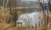 Trail On foot Halbe - Rundwanderweg (Halbe-Semmelei...) - Photo 2