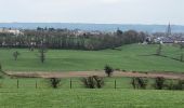 Tour Wandern Aubel - 20210416 - Aubel 11 Km - Photo 14