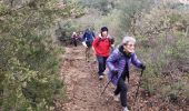 Tour Wandern Roquebrune-sur-Argens - La haute Cavalière - Photo 2