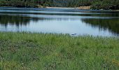 Randonnée Marche La Bresse - Tourbiere Marchey et Lac Rainkopf  - Photo 6