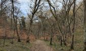 Tocht Stappen Brochon - Boucle des cent marches et du pavillon de l'empereur  - Photo 8