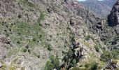 Tour Wandern Corscia - 31/05/2013 14:51 Scala Di Regina - Photo 2