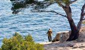 Trail Walking Cassis - SityTrail - Les 3 Calanques - Cassis - Photo 9