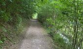 Randonnée Marche Bourscheid - Escapardenne Lee Trail: Moulin de Bourscheid - Hoscheid - Photo 3