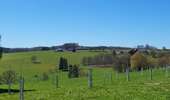 Randonnée Marche Houffalize - Engreux 070426 - Photo 15