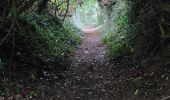 Trail Walking Paimpol - GR_34_DA_22_Paimpol_Ploubaznalec_20240803 - Photo 20