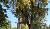 Tour Wandern Metz - Metz Pontiffroy-Gare - Photo 1