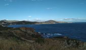 Randonnée Marche Banyuls-sur-Mer - Banyuls Cerbère  - Photo 10