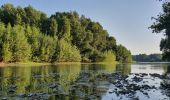 Tour Wandern Pinsaguel - PINSAGUEL : sentier de la Confluence (24.08.2023) - Photo 2