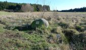 Excursión A pie Sankt Oswald bei Freistadt - Panoramaweg - Mitterbach - Photo 7