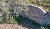 Tocht Stappen Villes-sur-Auzon - entre Auzon et le GR du massif du Ventoux - Photo 16