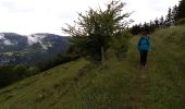 Percorso Marcia Saint-Nizier-du-Moucherotte - Le bois de la Plagne- St Nizier du Moucherotte - Photo 1