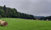 Tour Wandern Durbuy - GR 57 ETAPE 4: DURBUY-MOULIN DE MELINES  - Photo 5