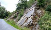Percorso Marcia Clervaux - Escapardenne Eisleck Trail: Clervaux - Moulin d'Asselborn - Photo 13