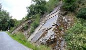 Randonnée Marche Clervaux - Escapardenne Eisleck Trail: Clervaux - Moulin d'Asselborn - Photo 13