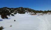 Randonnée Marche Gresse-en-Vercors - pré Peyret - Vallon de Combeau - Photo 1