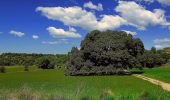 Percorso A piedi Casserres - SL-C 35 Casserres - Photo 4