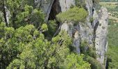 Excursión Senderismo Ollioules - Gros Cerveau - Ollioules - Photo 14