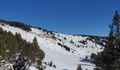 Excursión Raquetas de nieve Les Angles - Les  Angles - Photo 4