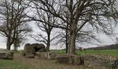 Randonnée Marche Durbuy - ballade autour des menhirs, dolmens et pierres de légendes de Weris - Photo 11