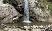 Excursión Senderismo Vernet-les-Bains - Cascade St Vincent et cascade des Anglais  - Photo 3