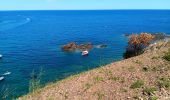 Trail Walking Cerbère - village des aloès - cap cerbère/ aller-retour - Photo 16