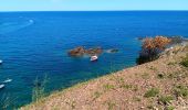 Randonnée Marche Cerbère - village des aloès - cap cerbère/ aller-retour - Photo 16