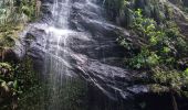 Tocht Stappen Le Prêcheur - Cascade Couleuvre - Photo 4