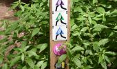 Trail Walking De Panne - 20240612 - TOTEMUS De Panne - 6.7 Km - Photo 9
