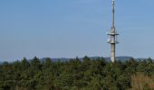 Tour Zu Fuß Weißenbrunn - Frankenwaldsteigla Stübengrabenweg - Photo 5