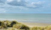 Randonnée Marche Leffrinckoucke - La dune Dewulf à Leffrinckoucke - Photo 1