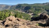 Randonnée Marche Tejeda - Pico de las Nieves (Gran Canaria) - Photo 8