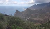 Tour Wandern Santa Cruz de Tenerife - Afur - Taganana - Photo 15