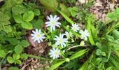 Trail Walking Anthisnes - anthisne . vien . les floxhes . la rock . les stepennes . anthisnes  - Photo 13